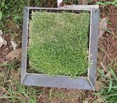 地中式原位稱(chēng)重蒸滲儀YS-ZS100 地中式原位稱(chēng)重蒸滲儀YS-ZS100