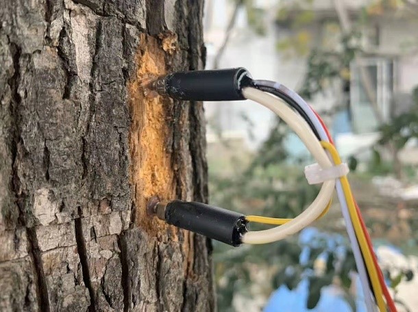 STDP系列植物液流探針 STDP系列植物液流探針