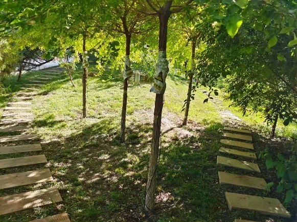 STDP系列植物液流探針 STDP系列植物液流探針